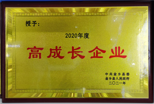 高成长企业