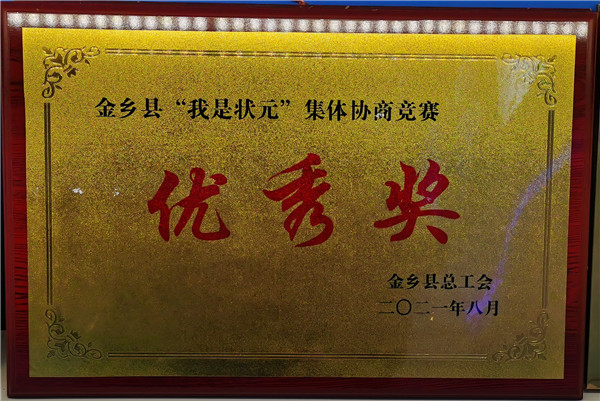 优秀奖