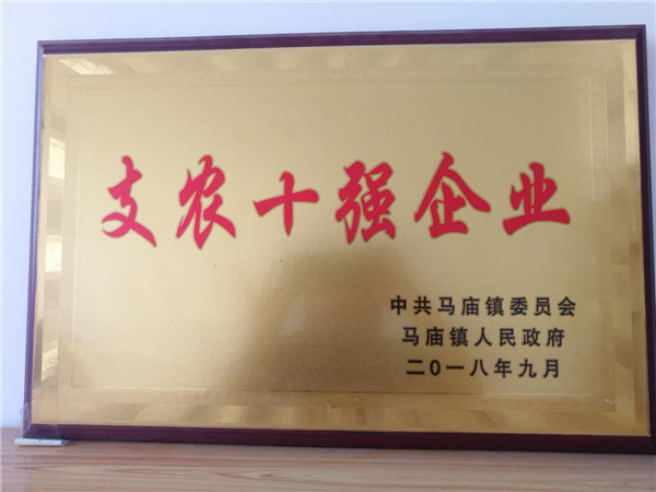 支农十强企业