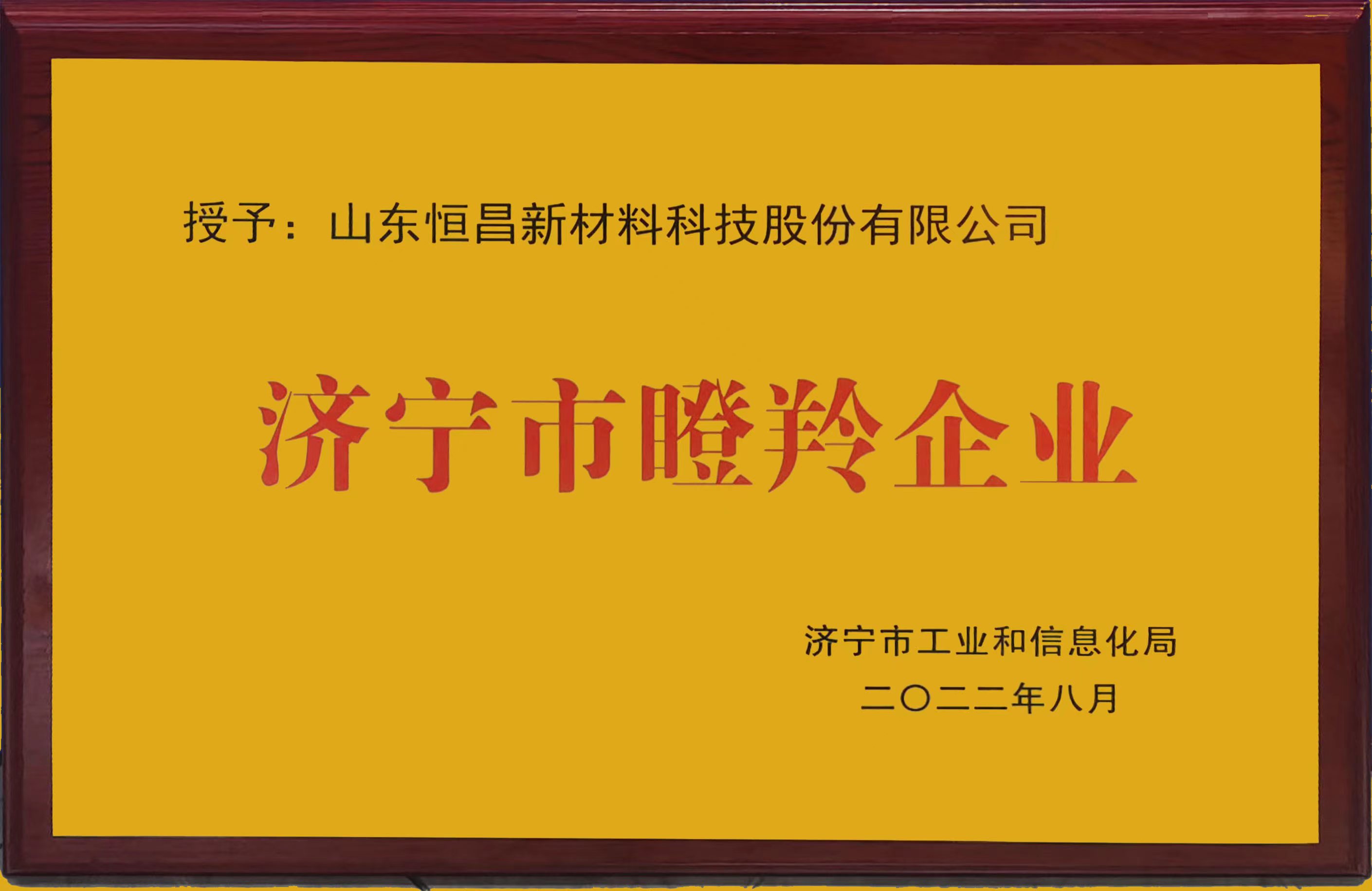 济宁市瞪羚企业